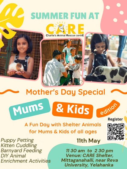 Charlie's Animal Rescue Centre - Community Outreach & Education Our Wonderful Volunteers & Visitors photo 18