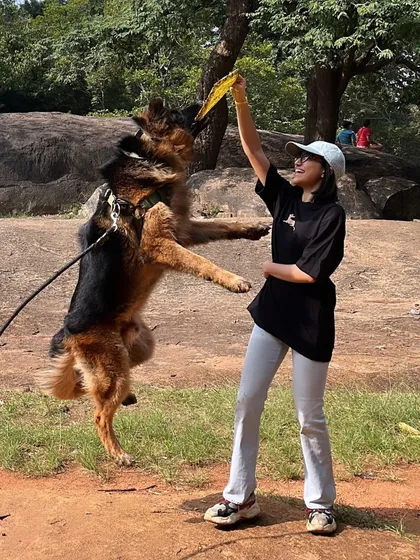 Look at that drive. Working with Hustler the GSD was a blast. Using a dog's natural play drive is one of the most effective ways to train and build a strong, positive relationship.