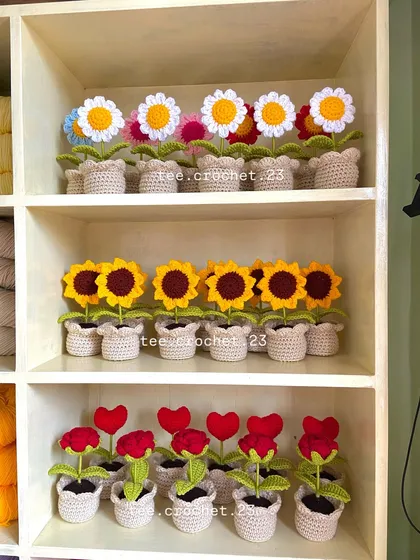 My shelves organized by flower type, with rows of potted daisies, sunflowers, and heart-shaped flowers.