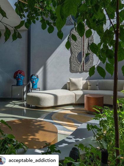 A living space seen through the leaves of an indoor tree, with sunlight casting dramatic shadows on the wall. This perspective emphasizes how the landscape is woven into the fabric of the home's interior.