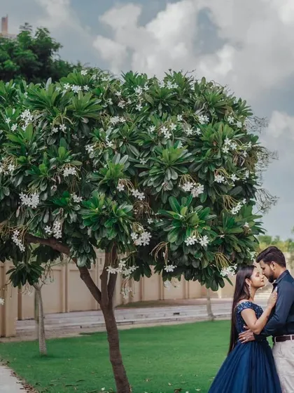 A quiet, romantic moment captured beautifully. My navy blue ball gown adds a touch of timeless elegance to this couple's pre-wedding photoshoot in a lovely garden setting.