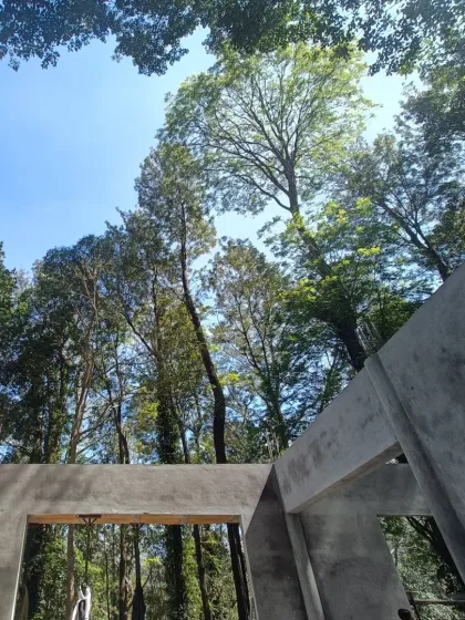 A view from within a structure under construction, looking up at the sky and surrounding trees. This image captures our core philosophy of designing with nature, where the building's form is created to frame and embrace the environment.