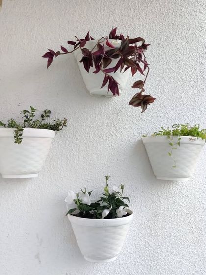 Balcony Garden Makeovers photo 14