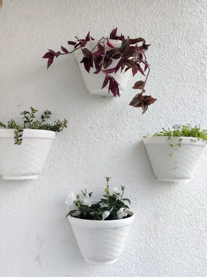 We used these elegant, white, wall mounted planters to add greenery to a balcony wall without taking up floor space. They are perfect for trailing plants like the Purple Heart plant shown here.