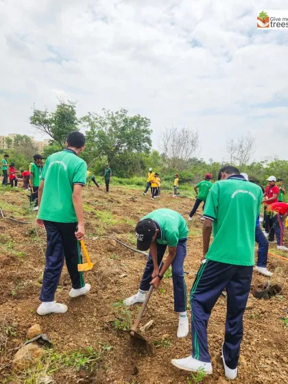 A wide shot of students from Unique English Medium School working across the plantation site in Pune. It's a powerful sight to see so many young hands working together for a common green goal.