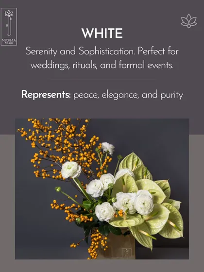 White represents serenity and sophistication. This arrangement, mixing white ranunculus with yellow berries, is perfect for formal events, rituals, or weddings.