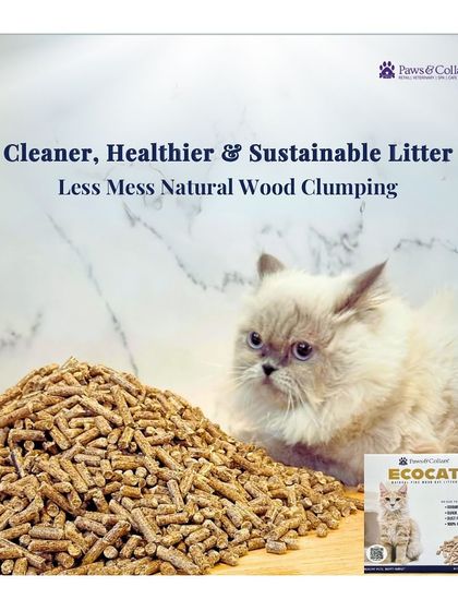 PawsnCollars - Pet Supplies For Our Feline Friends photo 29