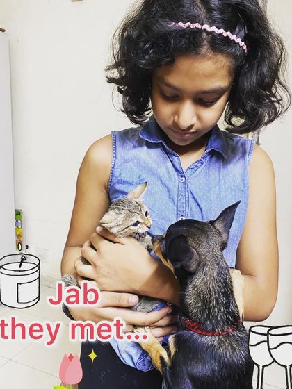 A peaceful home is possible, even with different types of pets. With careful introductions and training, dogs can learn to coexist happily with cats and other animals, as shown in this sweet first meeting.