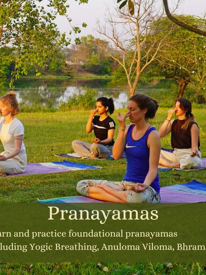 Pranayama, the science of breath control, is a cornerstone of our training. Students practice Anuloma Viloma (alternate nostril breathing) outdoors, learning to calm the nervous system and cultivate inner peace.
