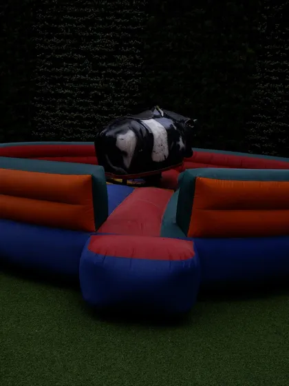 Looking for something truly exciting? I offer mechanical bull rides for rent. It's a guaranteed hit for corporate events, family days, or any party where you want to add a dose of thrilling fun.