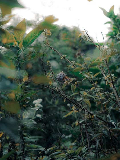 Garima Bhaskar - Photography Services Travel Diaries: Global & Local photo 113