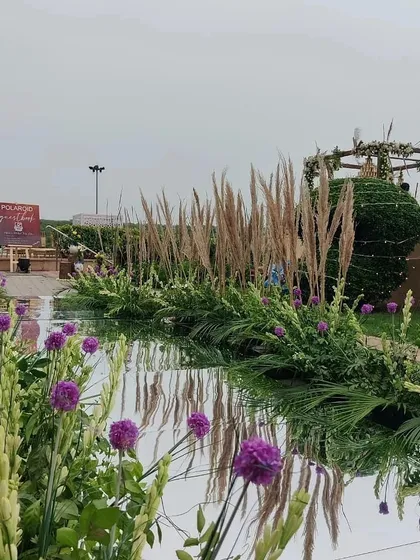 A creative use of a mirror walkway for an outdoor mandap. The reflection of the purple flowers, pampas grass, and sky creates a stunning visual effect.