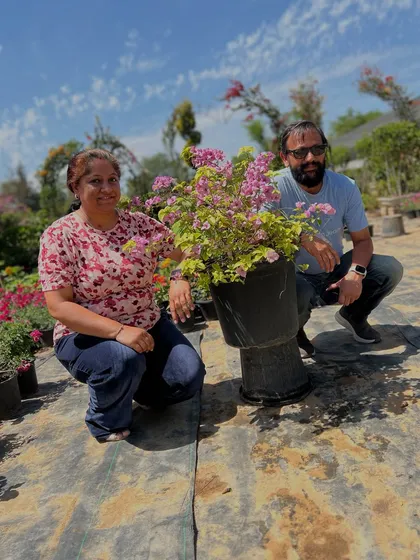 Another happy customer posing with their chosen Bougainvillea plant. We love seeing our customers find the perfect plant for their home.