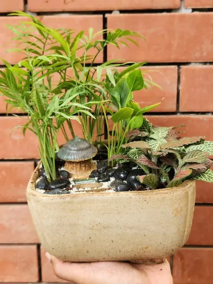 I create these miniature worlds, or terrariums, for desks and small spaces. This open dish garden combines a mini palm and a nerve plant (Fittonia) with decorative pebbles and a tiny mushroom hut to bring a bit of whimsical nature indoors.