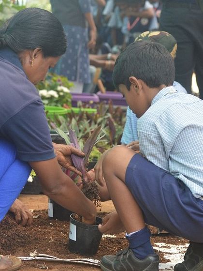 Make My Garden - Event Hosting & Workshops For Our Little Sprouts: Kids' Workshops & School Trips photo 9