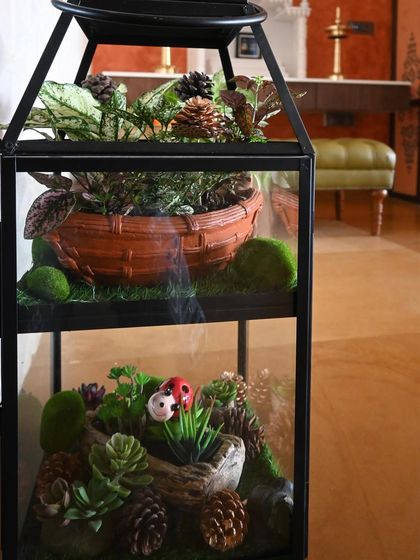 Garden Transformations photo 5