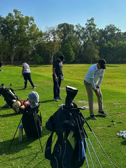 A group of golfers with their bags lined up, getting ready for a session on the grass tees.