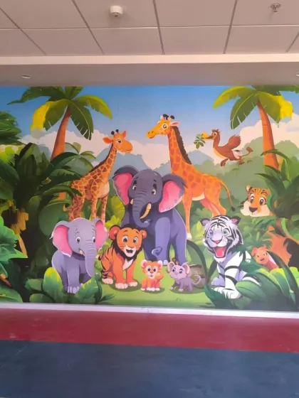 Ansari - Wallpaper & Mural Installation Kids' Room Transformations photo 3