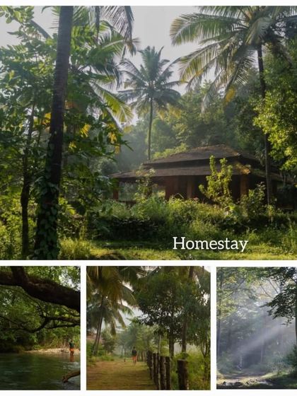 The beautiful, natural surroundings of our homestay, complete with streams and areca nut plantations.