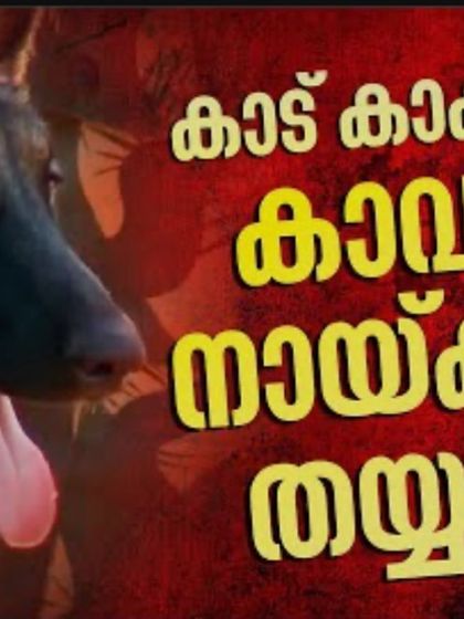 Dog Guru - K9 Security & Detection Services Official Collaborations & Government Deployments photo 16