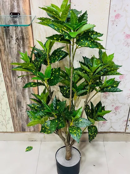 An artificial money plant with variegated leaves, grown to a large size to create a significant green presence.