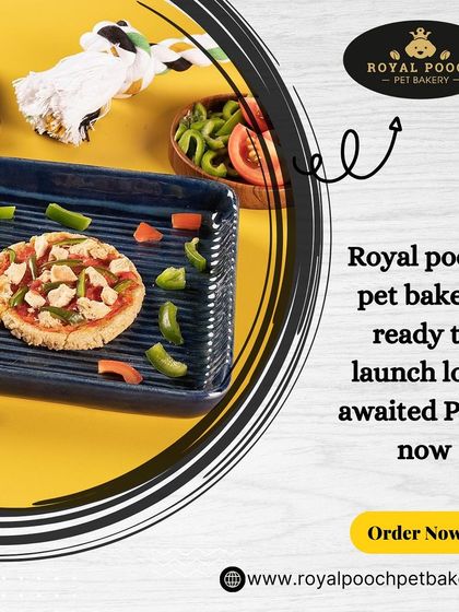 The long-awaited pet pizza is here! I am so excited to finally launch this special treat. It's made with a crunchy crust, savory toppings, and lots of love, ready to make your pet's day.