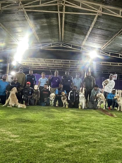 K9 Gurukul - Dog Training for Shows & Media Champions of the Show Ring photo 4