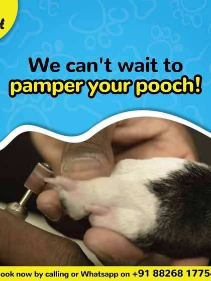 We can't wait to pamper your pooch. Book a session for a professional paw-dicure and nail grinding.
