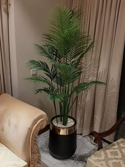 Home & Balcony Transformations photo 3