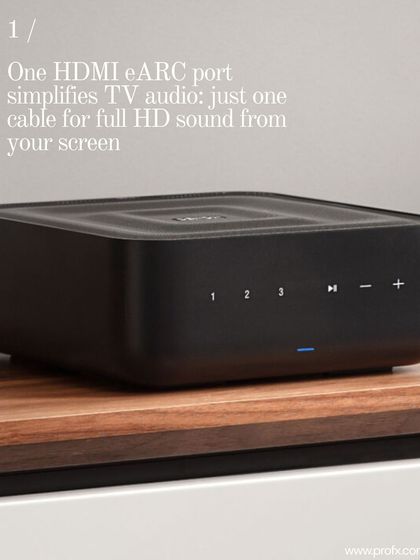 Pro FX - High-Fidelity (Hi-Fi) Audio Systems Product Showcase & Technical Details photo 33