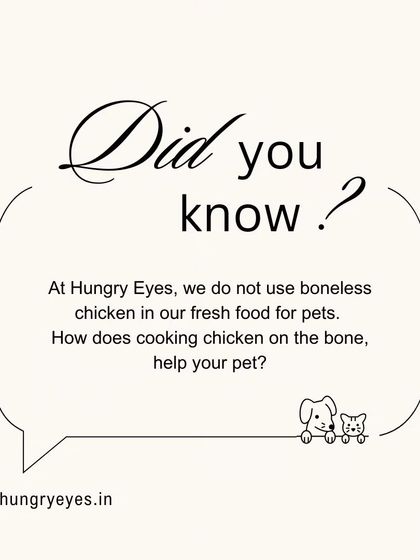 Hungry Eyes - Freshly Cooked Dog Meals From Our Kitchen to Your Pup's Bowl photo 3