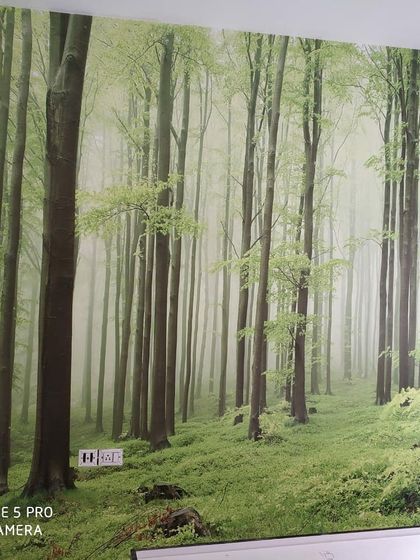 Wallthemes - Wallpaper Supply & Installation Custom Wall Murals photo 5