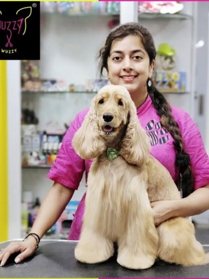 Fuzzy Wuzzy - Pet Grooming & Spa Spaniels, Retrievers & Large Breed Grooming photo 42