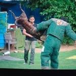 Gaurav Dog Trainer