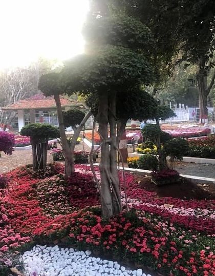 Ratnashri Landscapers - Landscape Design & Build A World of Plants & Flowers photo 16