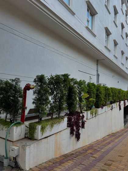 Greening Commercial Spaces photo 19