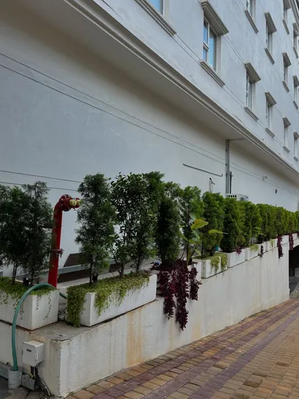 Revisiting Hotel Grand Serene, it's wonderful to see the creepers and shrubs thriving. Our long-term maintenance ensures that the landscape matures as envisioned, growing more beautiful with each season.