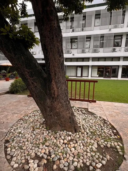 The beautiful grounds of the Goethe-Institut, where we met to plan an exciting collaborative poetry project.