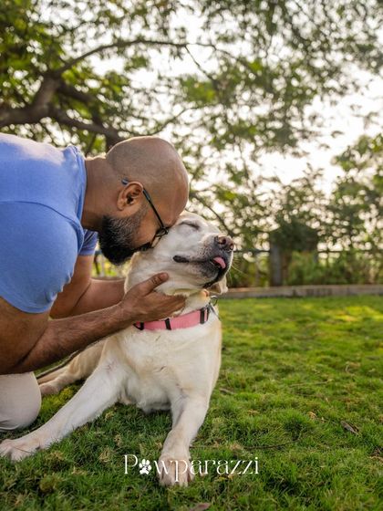 Pawparazzi By Prathima - Pet Milestone Photography Senior Tributes & Golden Years photo 18