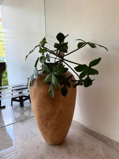 This large, textured pot holding a Philodendron adds an artistic, sculptural element to this hotel lobby. I believe the container is just as important as the plant itself in creating a cohesive design.