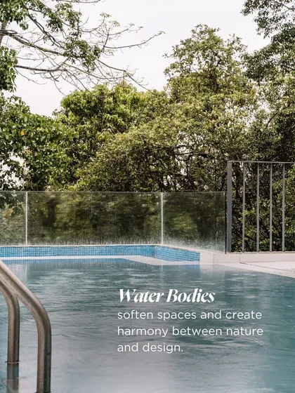 Water bodies are a key element in creating harmony between nature and design. They soften spaces and anchor the senses, contributing to an environment of quiet healing.