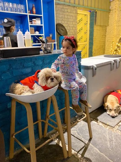 Two friends sitting at the bar! This adorable photo shows a child and a dog sitting side-by-side, perfectly comfortable in each other's company.