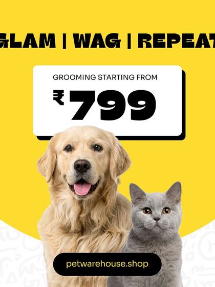 Pet Warehouse - Pet Grooming Services Pet Care Tips & Special Offers photo 4
