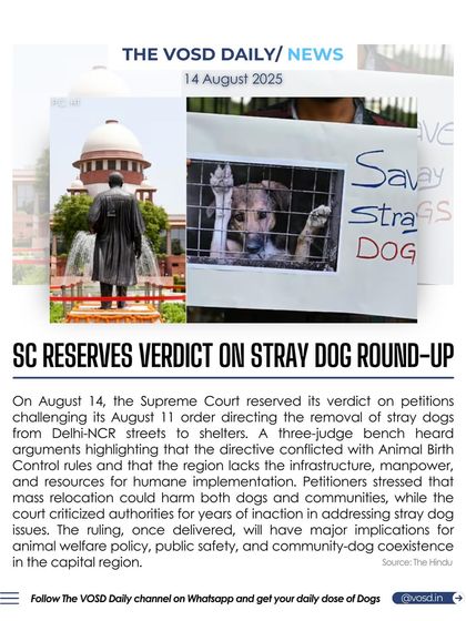 The Supreme Court has reserved its verdict on the mass removal of stray dogs from Delhi-NCR. While authorities cite public safety, welfare groups argue that mass relocation could harm both dogs and communities, highlighting years of inaction on the issue.