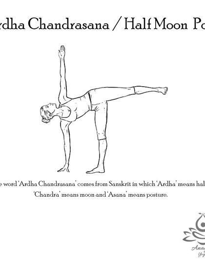 Anagha Yoga - Therapeutic Yoga Yoga Foundations: Asana Library photo 10