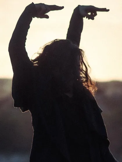 The silhouette of my arms and hands, shaping the air as part of the Flamenco expression.