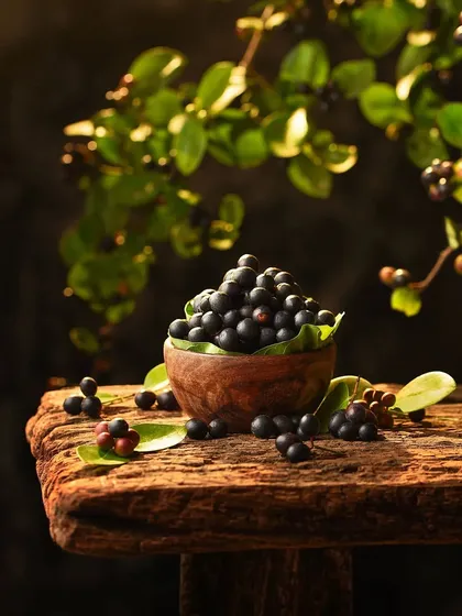 This shot from my 'Indian Summer Fruits' series uses natural light to create a dark and moody feel. The focus is on the rich, dark color and texture of these native berries.