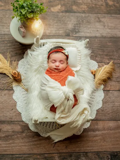 This overhead shot shows a complete setup with a miniature bed, soft furs, and decorative plants, creating a beautiful, rustic scene.