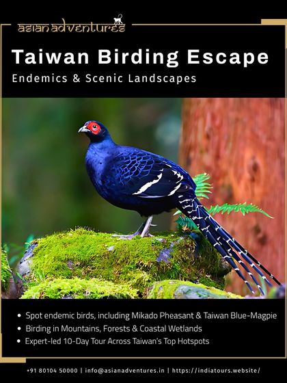 Global Wildlife Adventures photo 16