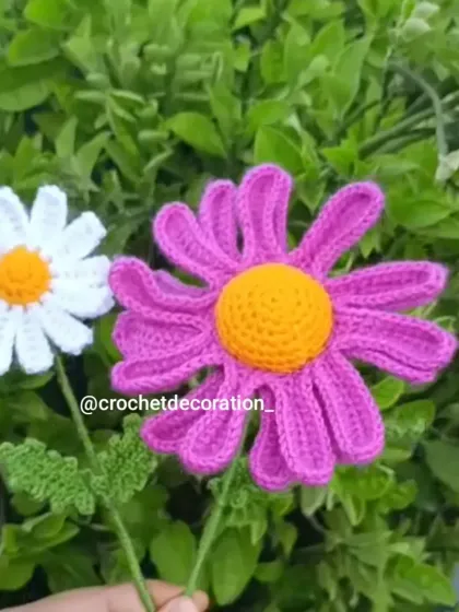 A side-by-side comparison of a single white daisy stem and a purple oxeye daisy stem. You can see the different petal shapes and styles we create.